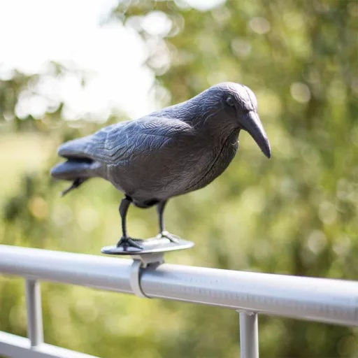 Odstraszacz gołębi, w kilku rodzajach