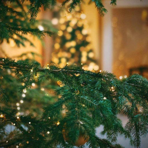 Sznur świetlny LED w różnych rozmiarach i kolorach-240 LED-owy-ciepła biel