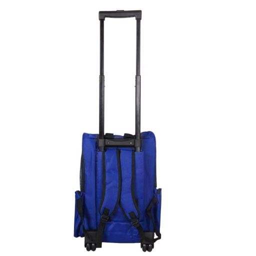 Transporter dla zwierząt 2w1, różne kolory-niebieski