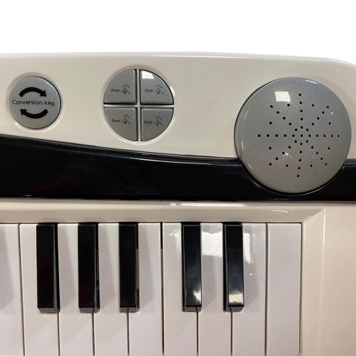 Syntezator dla dzieci w kilku rodzajach-biały