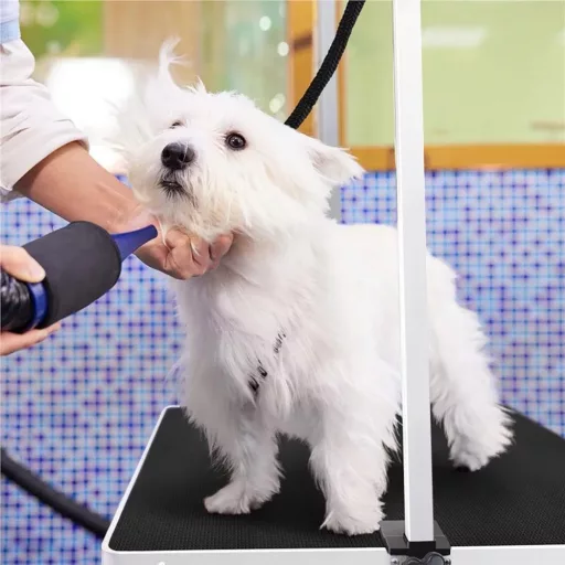 Stół groomerski z dwoma smyczami