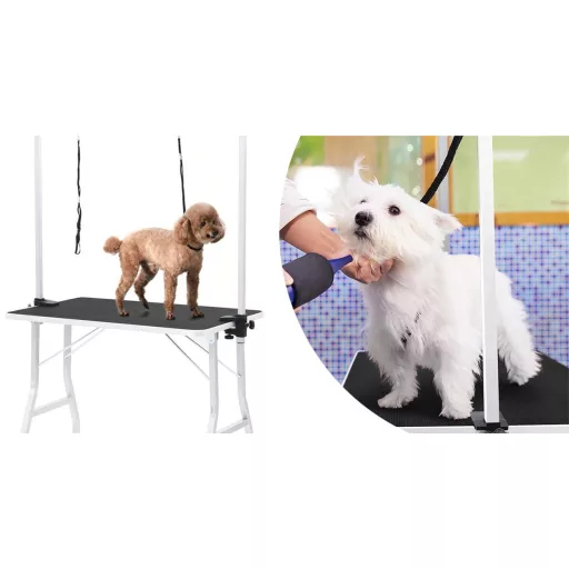 Stół groomerski z dwoma smyczami