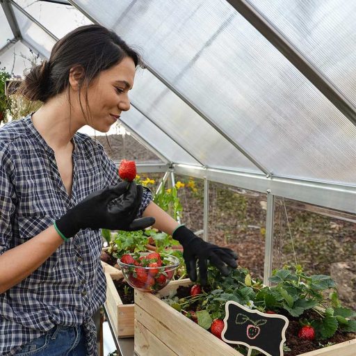 Szklarnia ogrodowa, aluminiowa