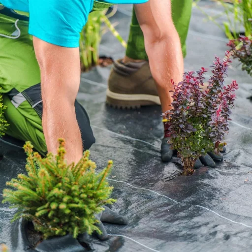 Pokrycie gruntowe PP 50m