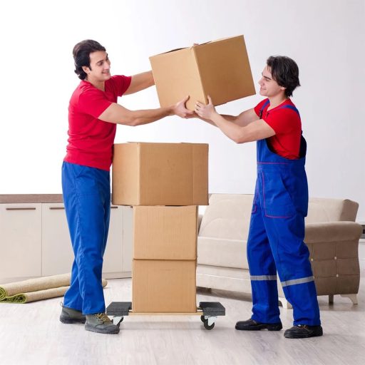 Wózek transportowy do mebli