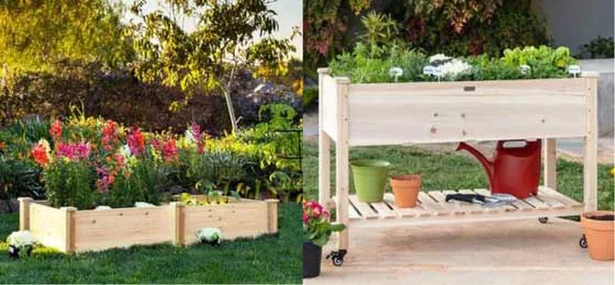 Warzywa i zioła w drewnianych skrzynkach i donicach