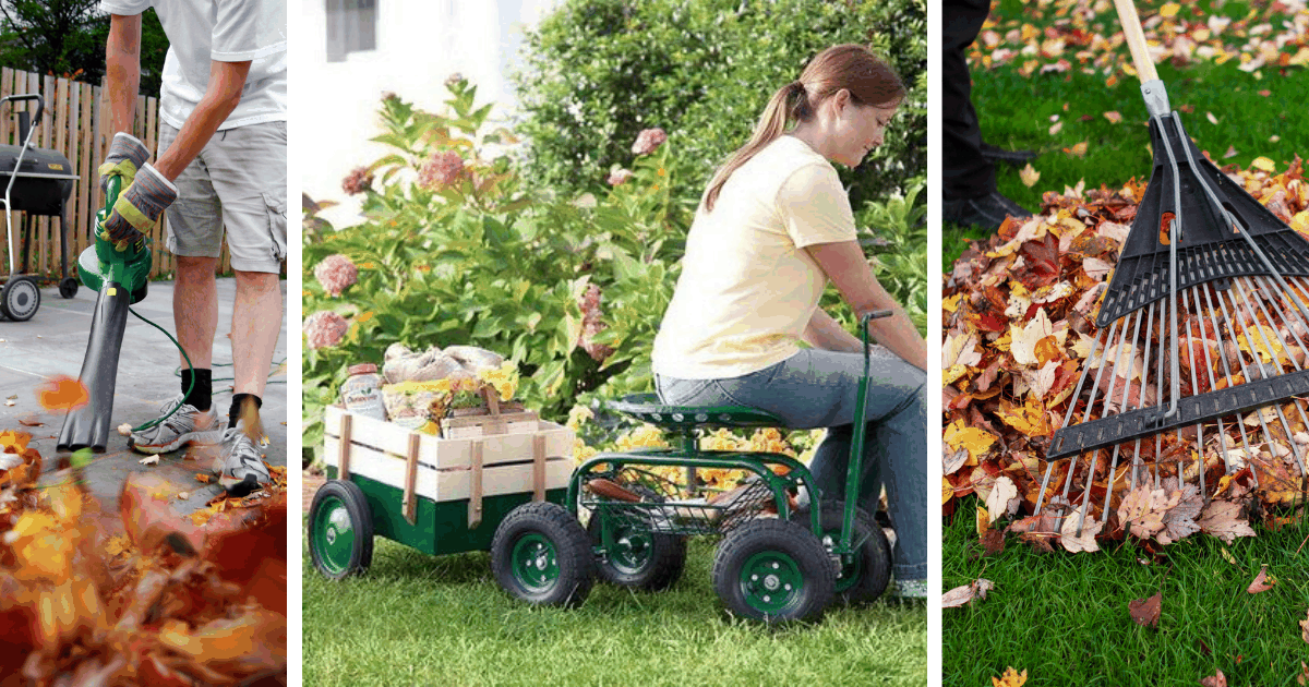 Prace ogrodowe jesienią: Narzędzia, które ułatwiają zadania