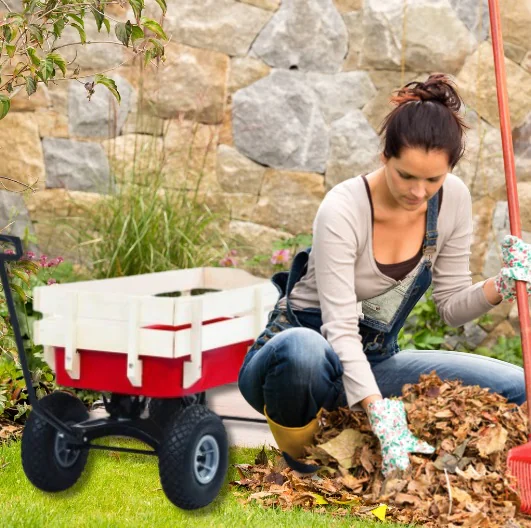 Ćwiczenia jogi na świeżym powietrzu jesienią