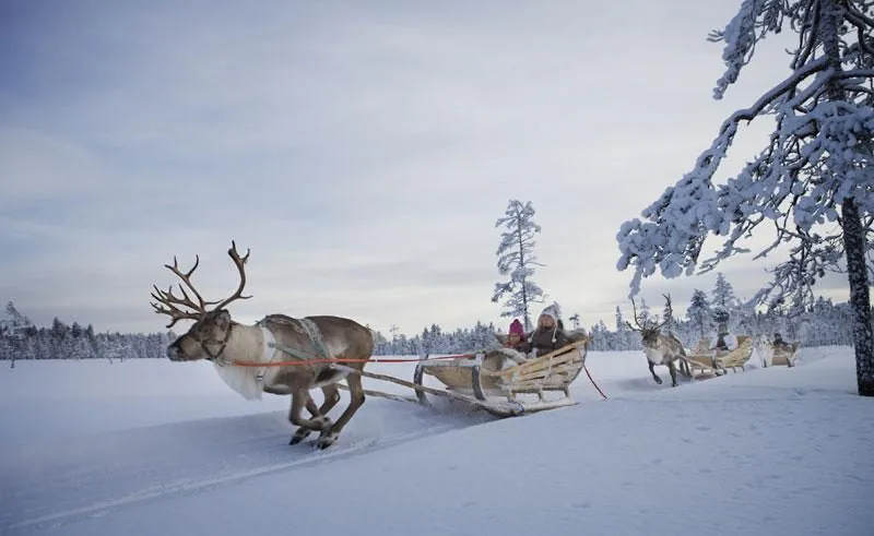 Zimowy krajobraz w Europie Środkowej