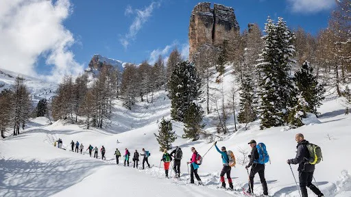 Zaśnieżony zimowy krajobraz górski