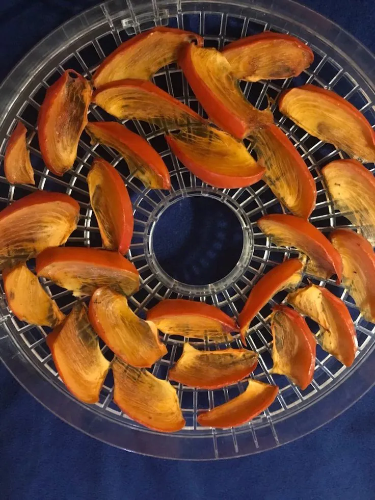 Gotowe chipsy warzywne i owoce z suszarki